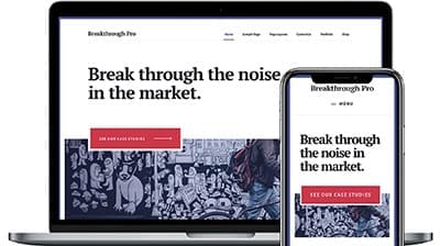 Breakthrough Pro. Bay Area web designers.