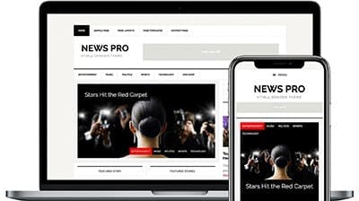 News Pro. Bay Area web designers.