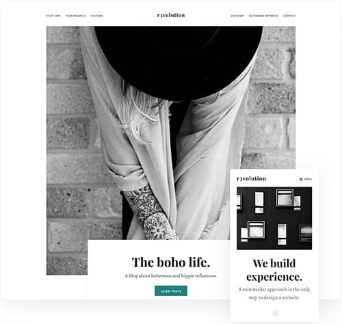 Revolution Pro. Bay Area web designers.