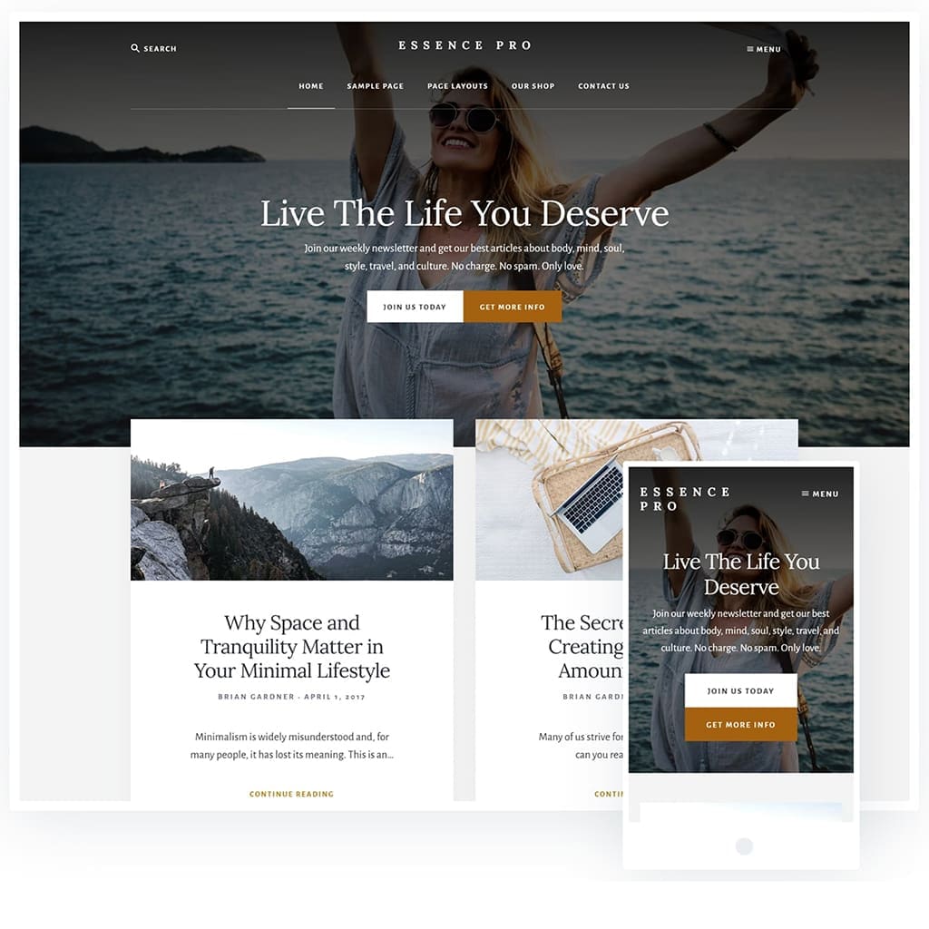Web Design Agency. Essence Pro Theme. KK Media Digital.