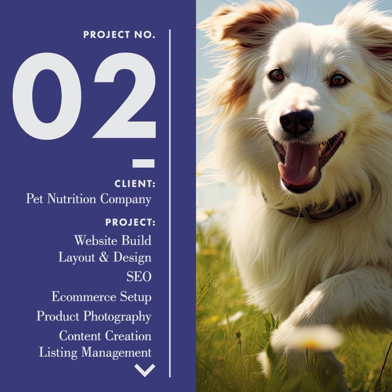 KK Media Digital Project. Number 2. San Francisco Bay Area.