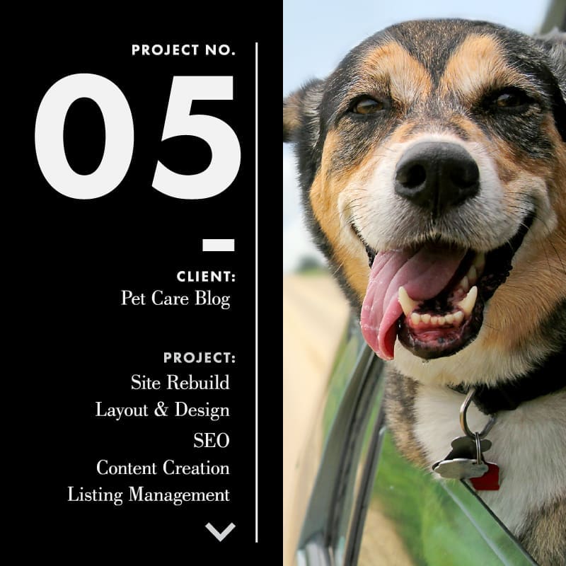 KK Media Digital Project. Number 5. San Francisco Bay Area.